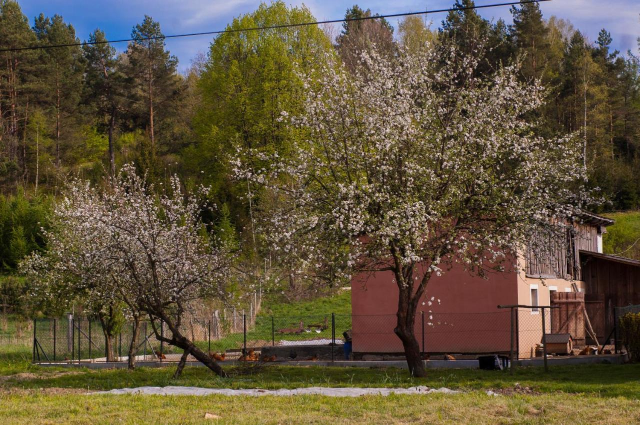 U Jadzi Pogorze Przemyskie Bircza Buitenkant foto